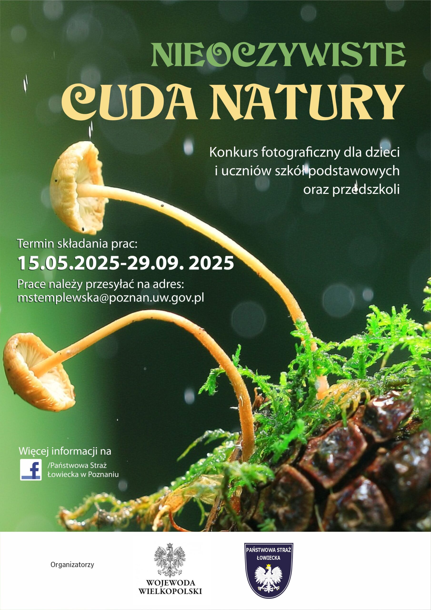 NCN_plakat_3-scaled